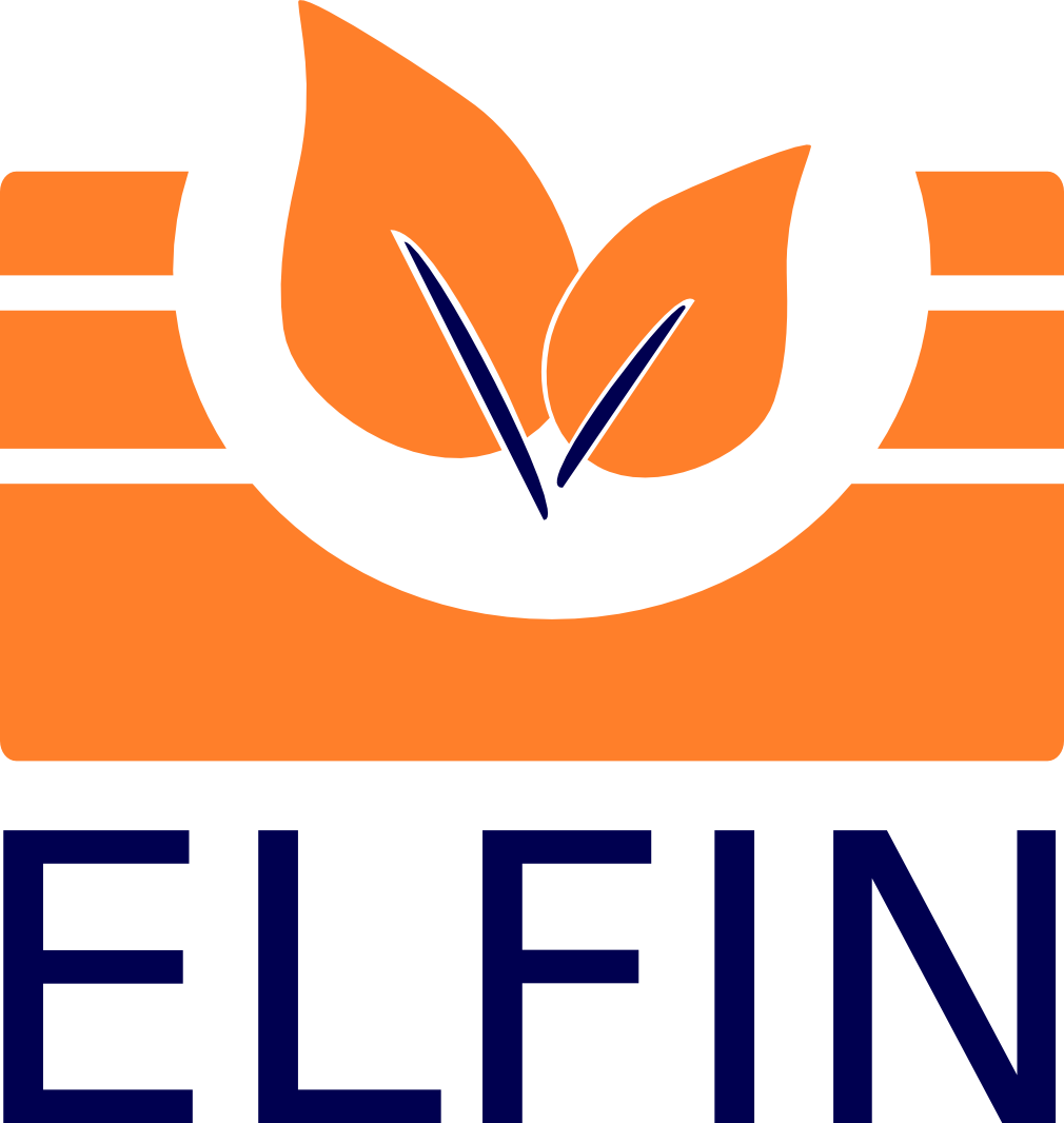 Logo ELFIN 