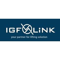 Logo IGF Link